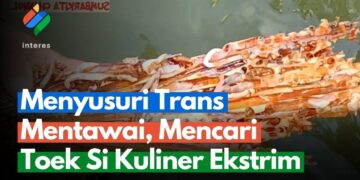 Mengenal Toek, Kuliner dari Cacing Kayu Khas Mentawai