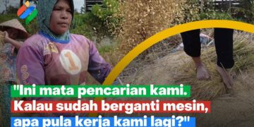 Mairiak, Cara Tradisional Panen Padi di Minangkabau