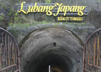 Lubang Jepang merupakan terowongan perlindungan yang dibuat tentara pendudukan Jepang di Bukittinggi pada tahun 1942.
