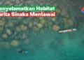 Menyelamatkan Habitat Gurita Sinaka Mentawai