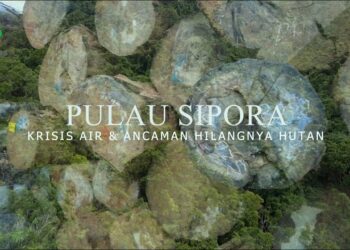 Pulau Sipora: Krisis Air & Ancaman Hilangnya Hutan