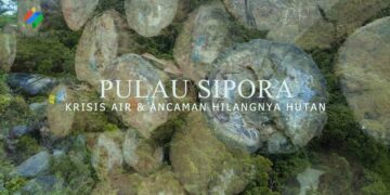 Pulau Sipora: Krisis Air & Ancaman Hilangnya Hutan