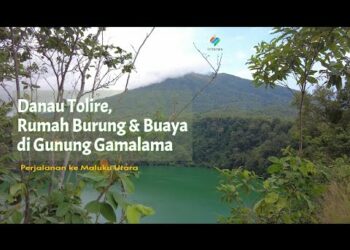 Melihat Buaya dan Burung di Danau Tolire Gunung Gamalama